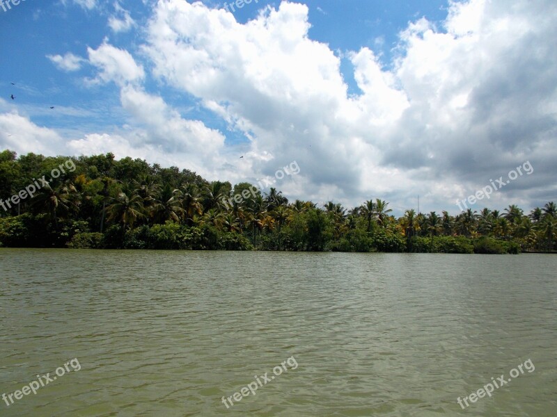 Backwaters Lake Coconut Trees Trivandrum Kerala