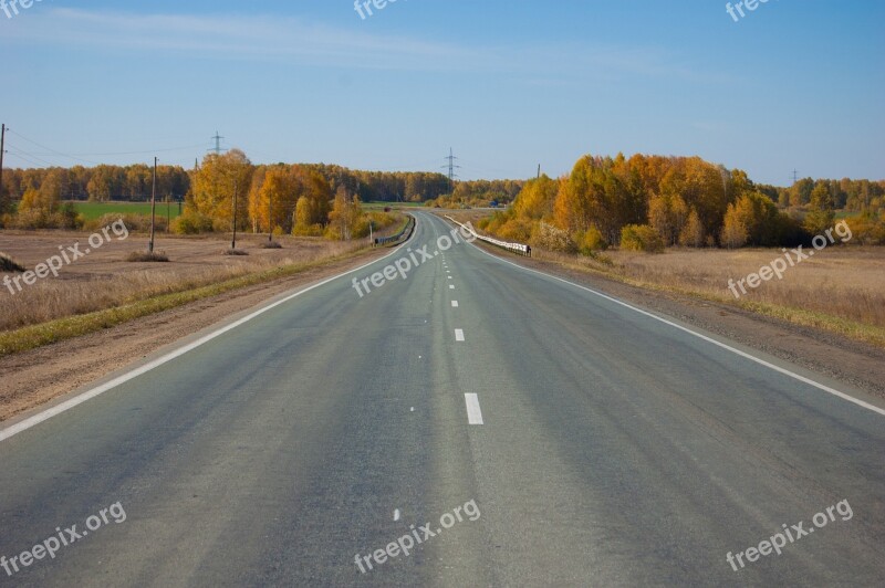 Road Autumn Clear Sky Yellow Trees Very Nice