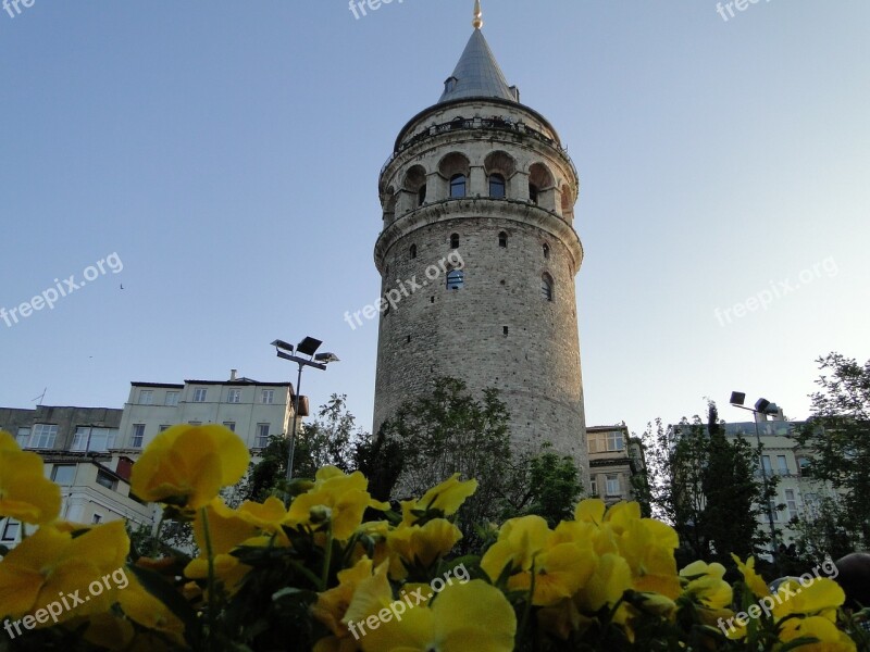 Galata Tower Istanbul Tulips Free Photos