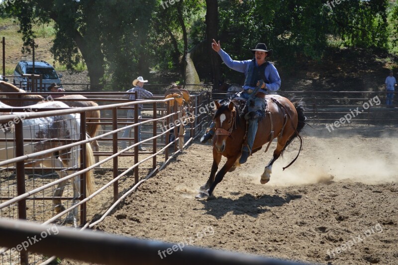 Talahi Good Ride Horse Equine Animal