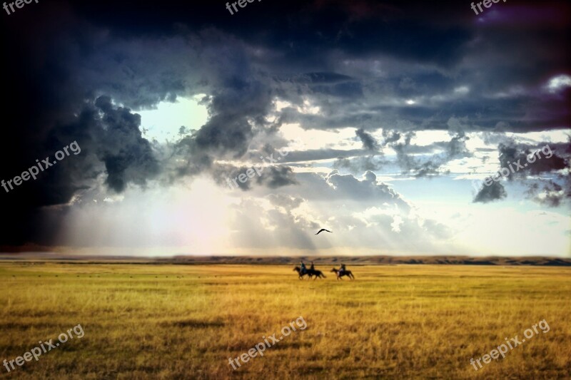 Reiter Horses Field Sky Clouds