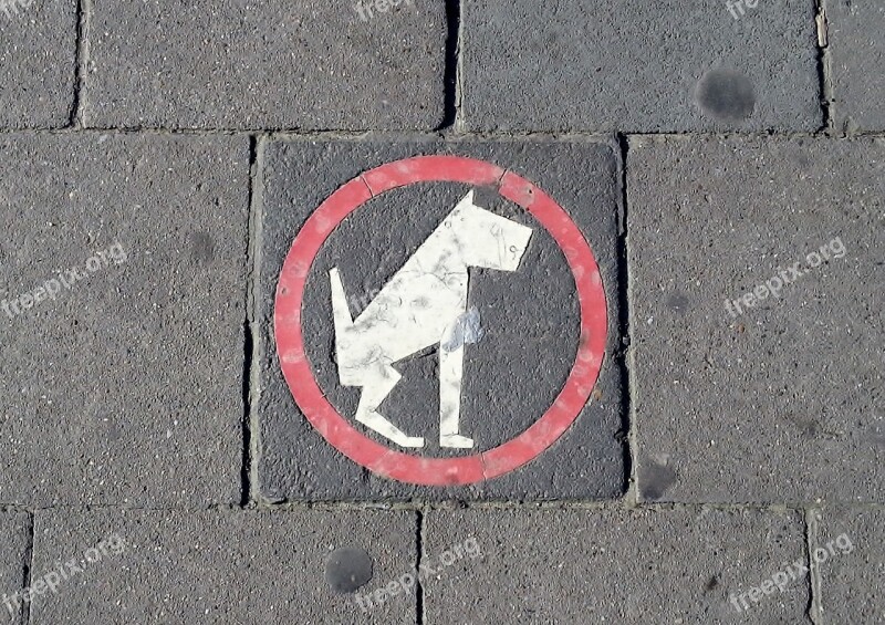 Pavement Sign Dog Roadsign Free Photos