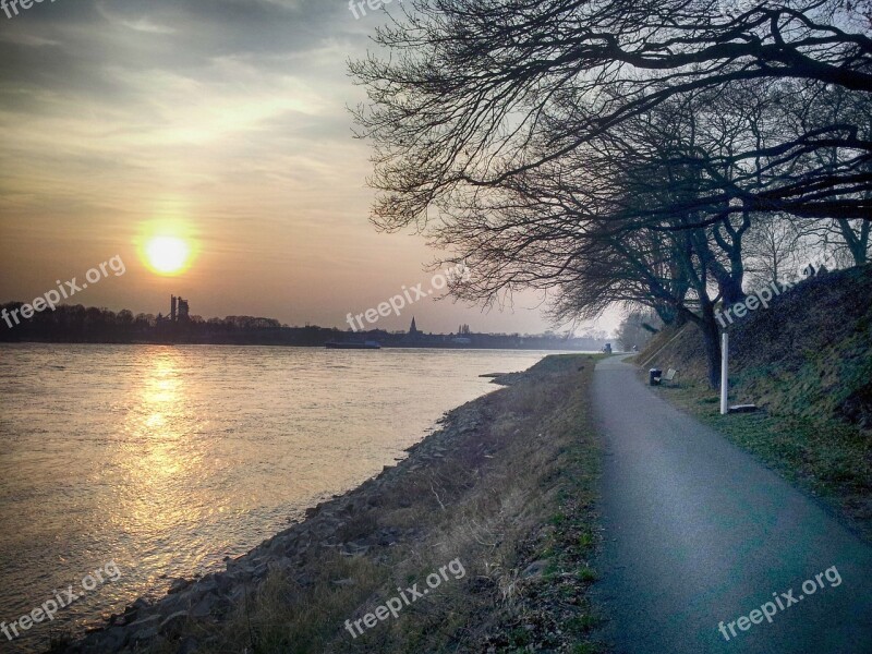 Sun Sunset Rhine Cologne Free Photos