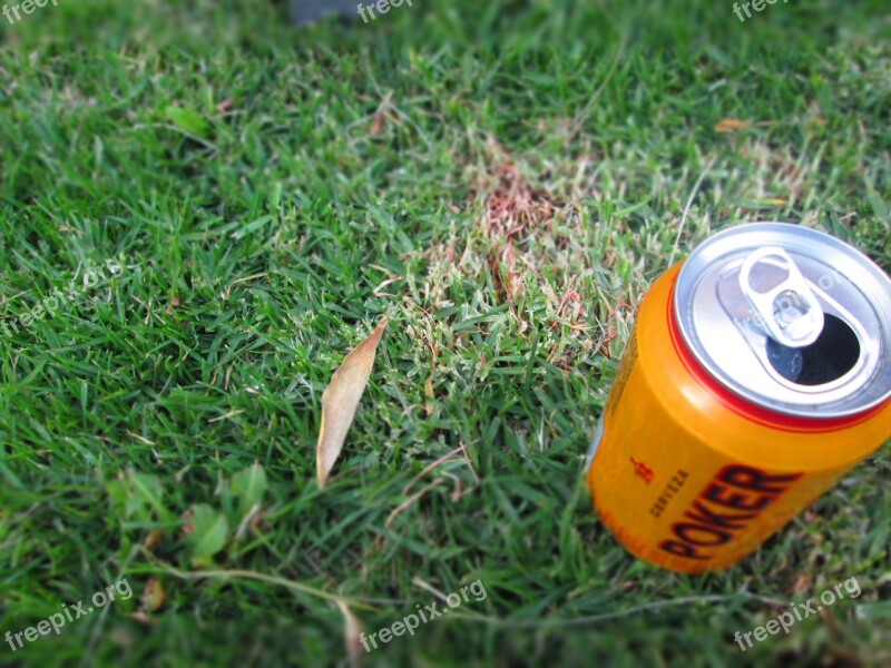 Beer Grass Nature Free Photos