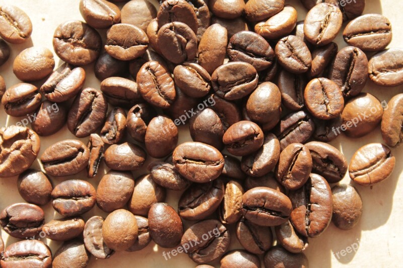 Coffee Coffee Bean Coffee Beans Free Photos