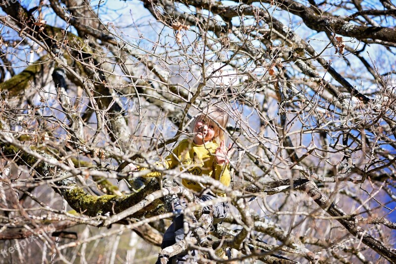 Child Girl Tree Bare Tree Spring