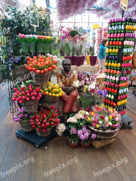 Tulips Shop Man Flowers Free Photos