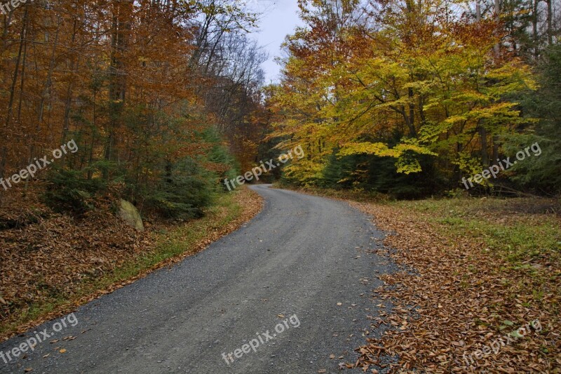 Fall Autumn Country Road Background Road