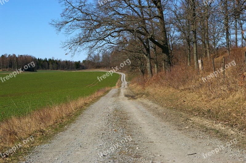 Dirt Road Rough Motivation Bend Free Photos