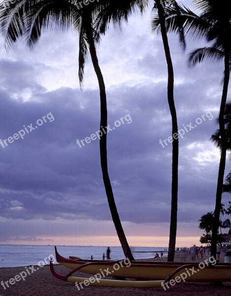 Beach Catamaran Hawaii Ocean Palm Trees