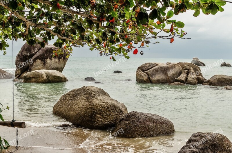 Thailand Beach Sea Vacations Palm Trees