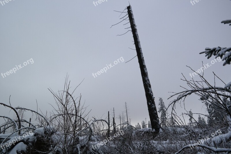 Sauerland Hill Kyrill Path Winter Trees