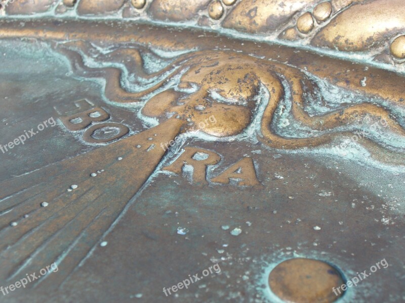 Trieste Pier Pier Bold Rosa Wind Rose