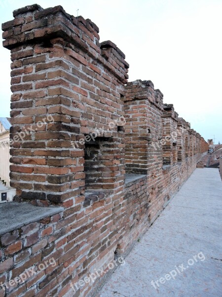 Blackbirds Bricks Ancient Verona Antiquity