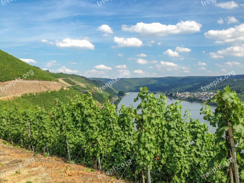 Boppard Hamm Rhine Middle Rhine Germany River