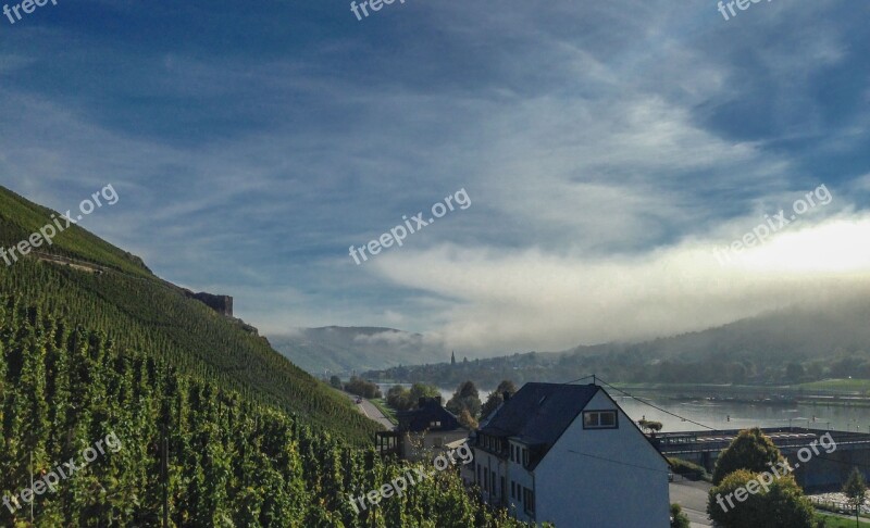 Mosel Zelting-rachting Fog Sun Vineyard