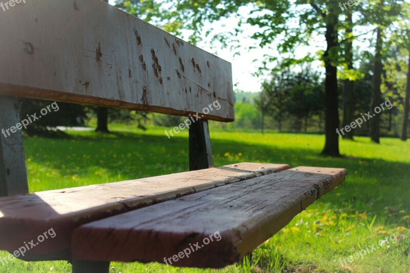 Bench Park Québec Rest Green