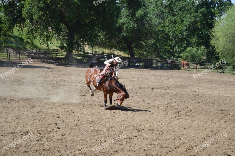 Rodeo Riding Cowboy Horse Western