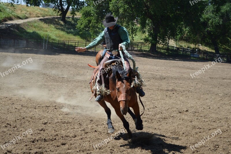 Rodeo Riding Cowboy Horse Western