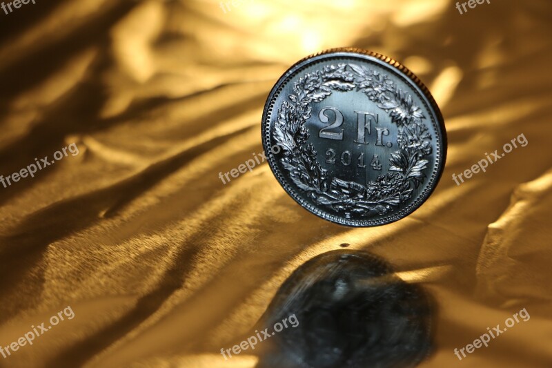 Gloss Coin Finance Value Cute