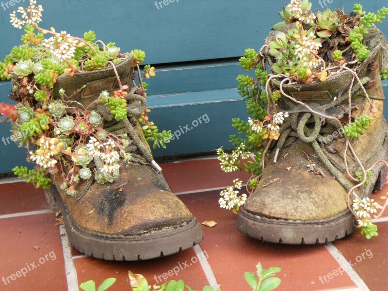 Shoes Nature Flowers Boots Free Photos