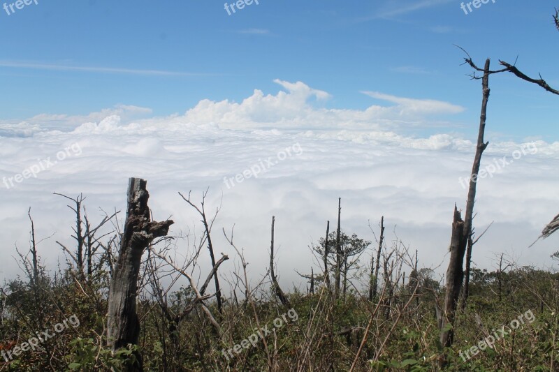 Lawu Nature Blue Sky Indonesia