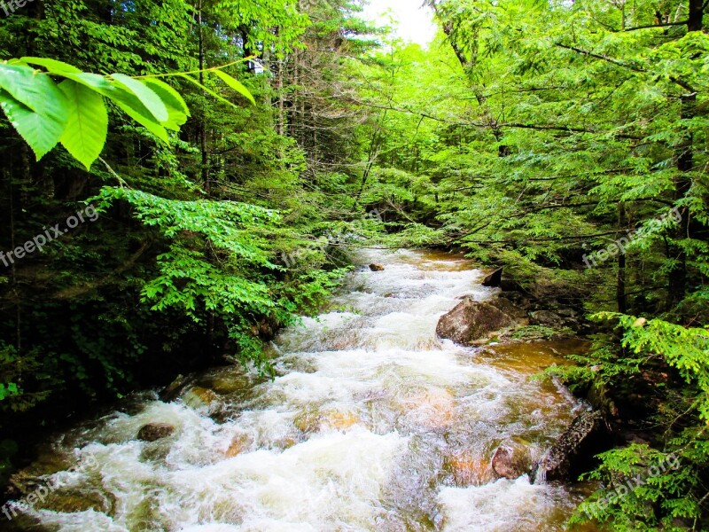 Nature Water Rapids Summer Natural