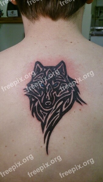 Tattoo Tattooing Wolf Tattooed Artist