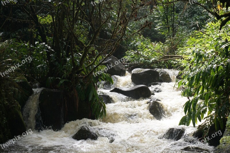 Hawaii Tropical Waterfall Free Photos