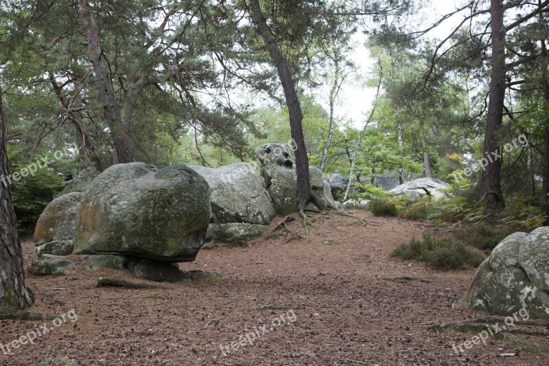 Fontainebleau Forest Green Wood Hiking