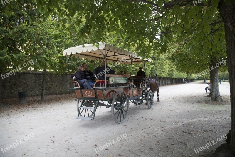 Fontainebleau Carriage Ride Horses Path