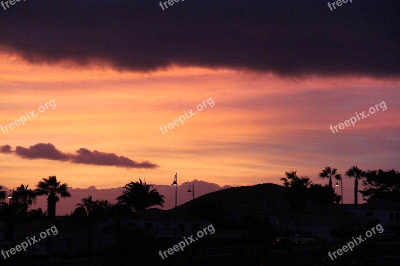 Sunset Sky Palm Trees Lights Violet