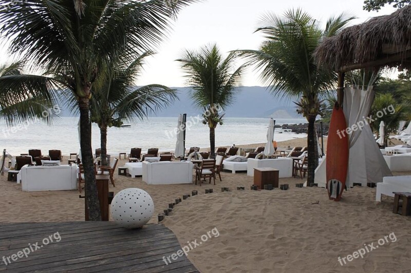 Beach Coconut Trees Mar Beira Mar Litoral