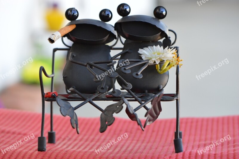 Frogs Metal Pair Love Funny