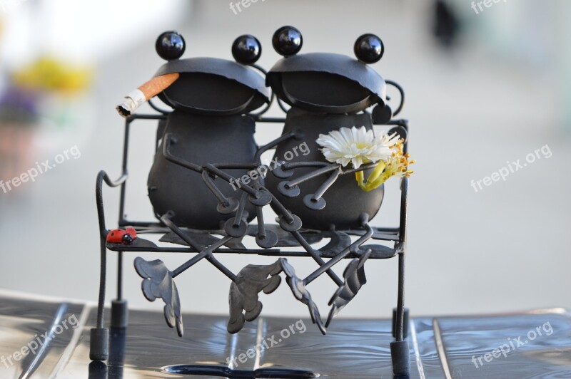 Frogs Metal Pair Love Funny