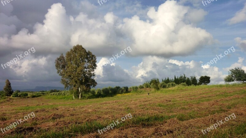 Summer Meadow Storm Clouds Free Photos