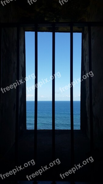 Blue Escape Freedom Ocean Free Photos