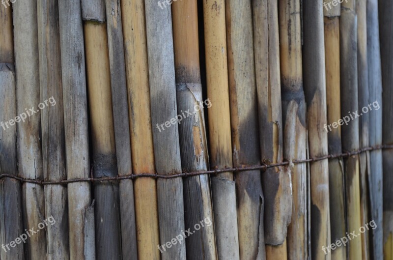 Wood Fence Bound Bamboo Patina