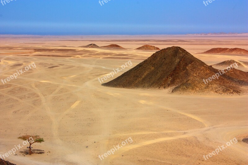 Desert Sand Tree Mountain Hill