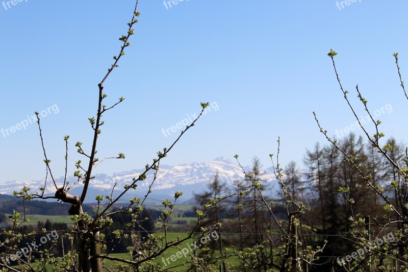 Landscape Apple Trees Flowers Spring Mountains