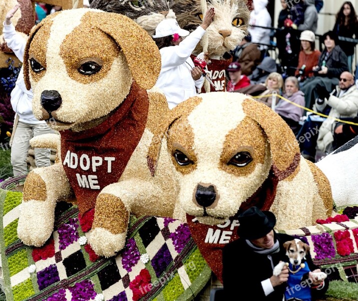 Parade Float Dogs Floral Rose Parade