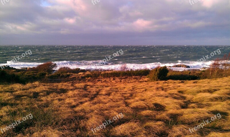 Coastal Burning The Baltic Sea The Hammer Free Photos