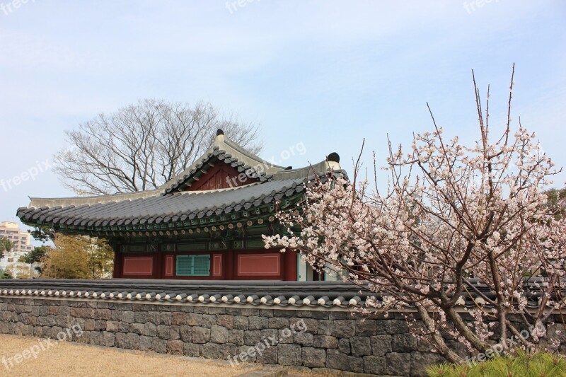 Jeju Island Kwan Duck Jung Korea Traditional Hanok