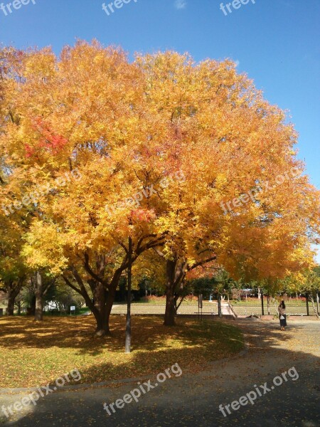 Paddle Kurashiki Sakazu Free Photos