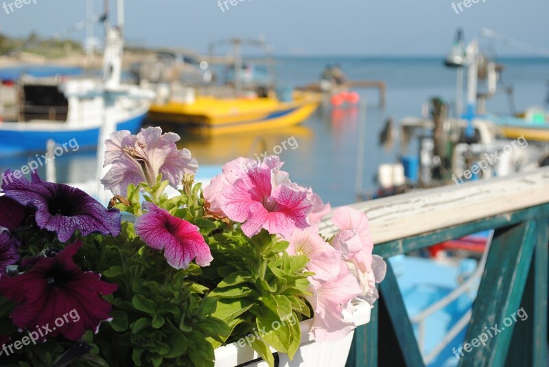 Boats Moored Cyprus Sea Water Mediterranean