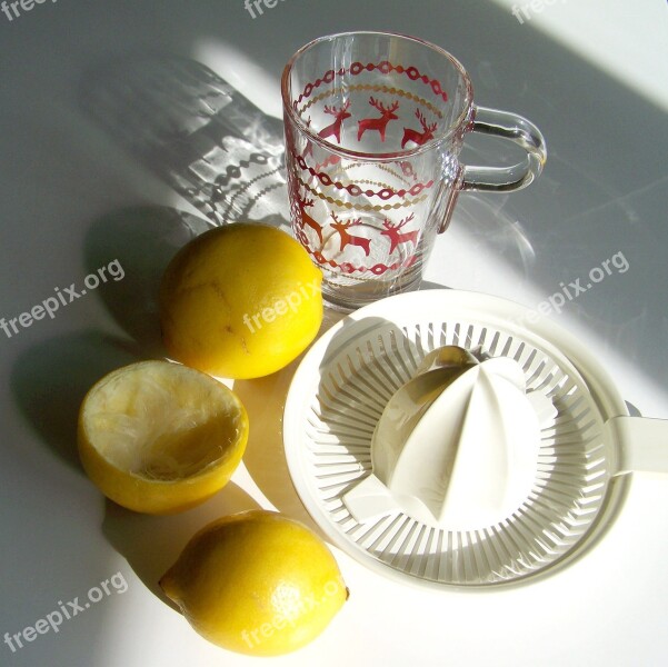 Lemon Yellow Fruit Light Shadow Still Life Free Photos