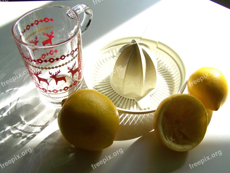 Lemon Yellow Fruit Light Shadow Still Life Free Photos