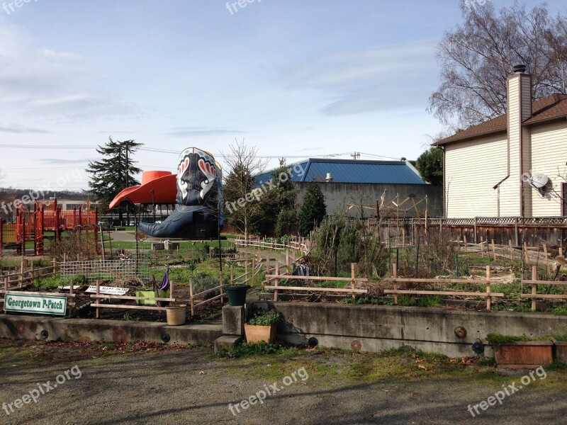 Community Garden Park Gardening Lifestyle