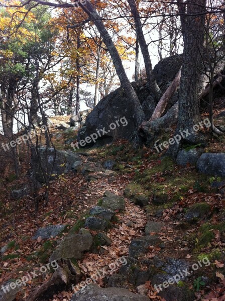 Hiking Outdoors Healthy Forest Walking