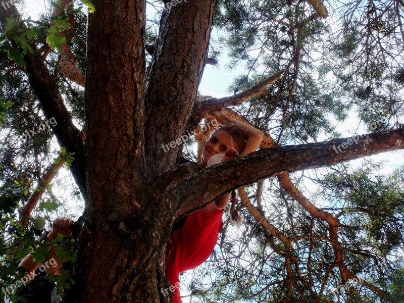 Girl Climbing Happy Tree Effort